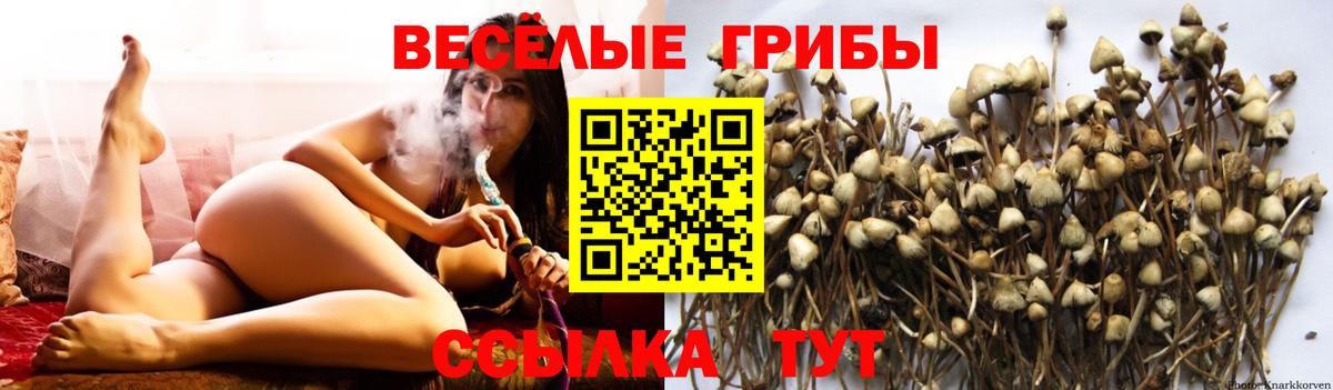 Псилоцибиновые грибы ЛСД Можга